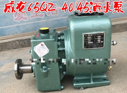 65QZ-40/45N(S)ʽˮ܇