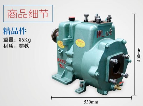 65QZB-50/110NSʽˮ܇